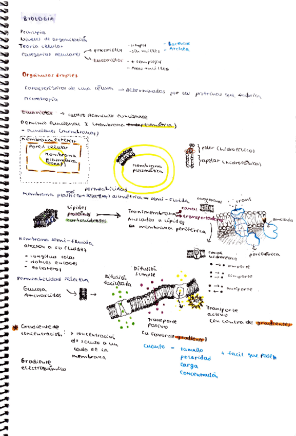 Miniatura del documento Biologia-II.pdf