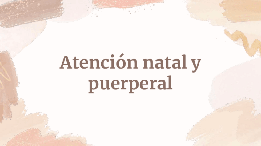 Miniatura del documento Atencion-natal-y-puerperal.pdf