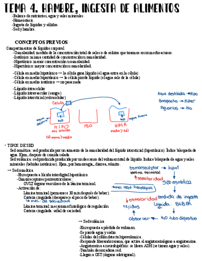 Miniatura del documento Psicologia-fisiologica-hambre-ingesta-de-alimentos.pdf