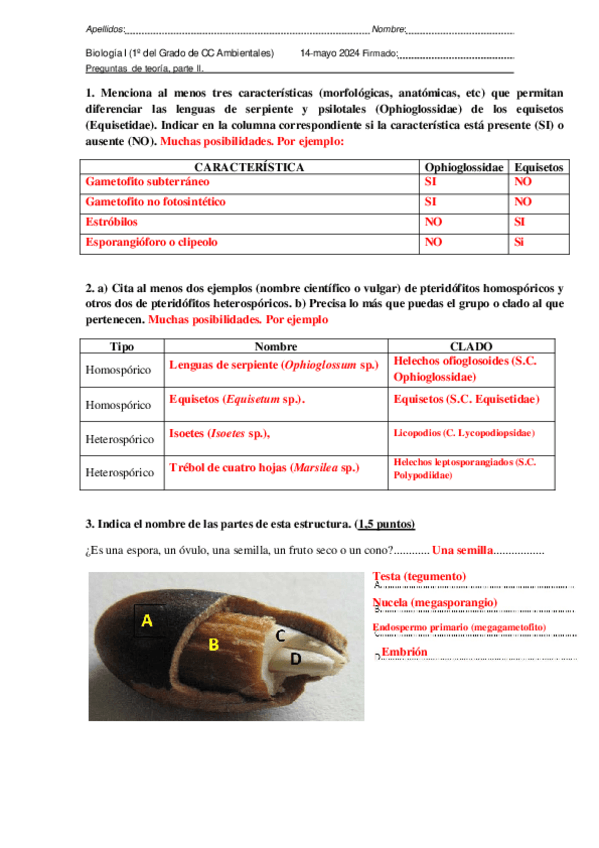 Miniatura del documento Examen-parcial-2-MAYO-2024-TeorAa-MC--SOLUCIONES-.pdf