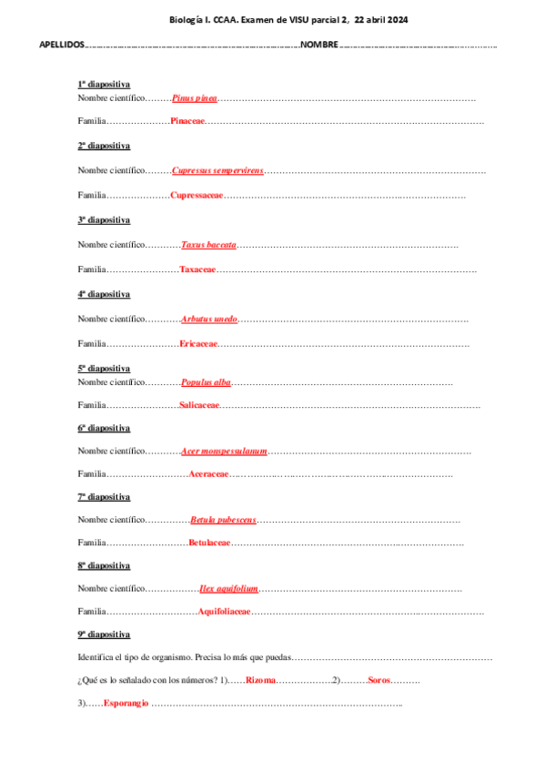 Miniatura del documento SOLUCIONES-preguntas-visu-paRCIAL-2-2024.pdf