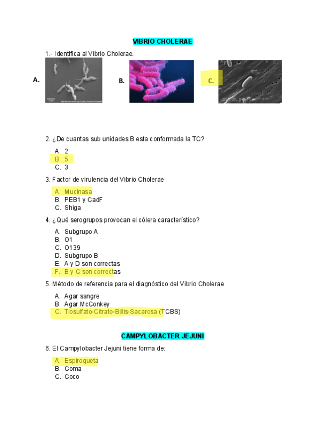 Miniatura del documento Microbiologia.pdf