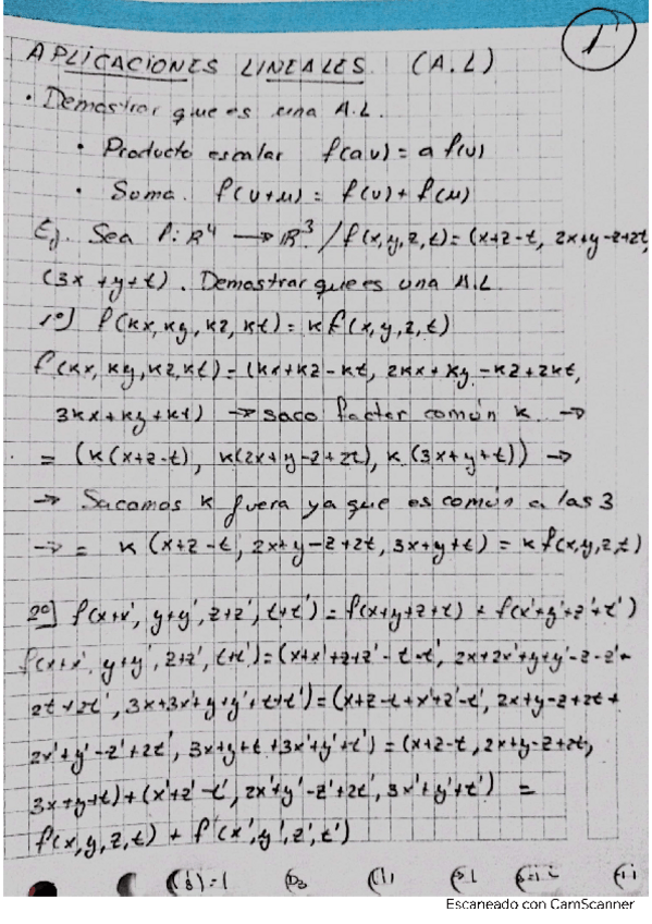 Miniatura del documento Apuntes-Aplicaciones-Lineales.pdf