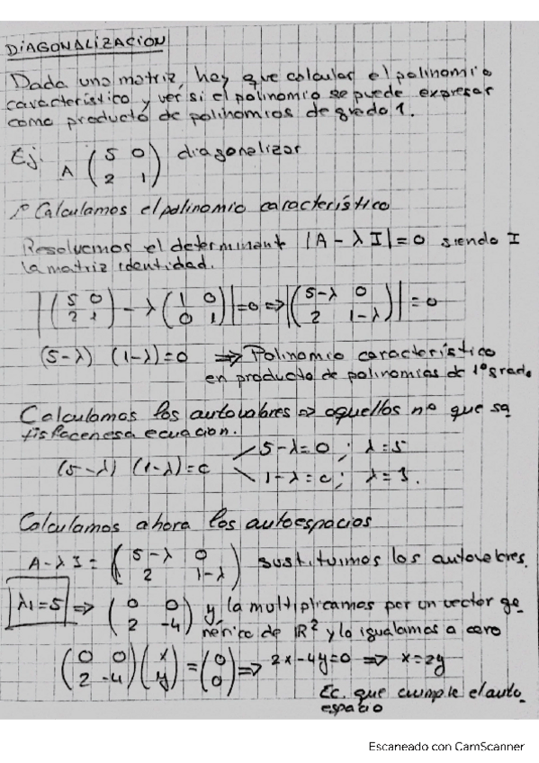 Miniatura del documento Apuntes-diagonalizacion.pdf