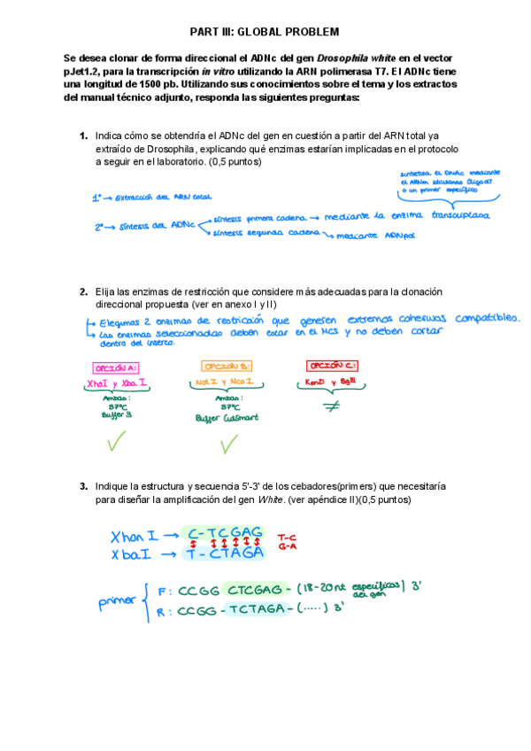 Miniatura del documento PROBLEMA-GLOBAL-CLASE.pdf