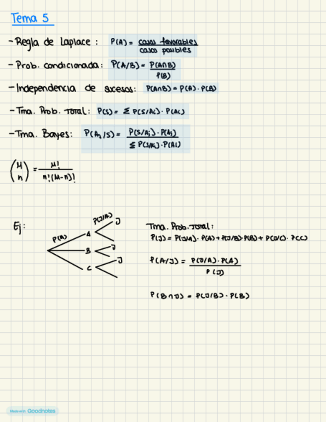 Miniatura del documento Temas-5-6-7-y-8.pdf