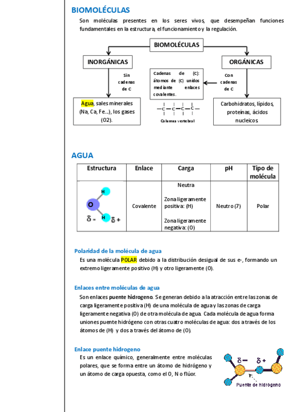 Miniatura del documento UNIDAD-2-Biomoleculas.pdf