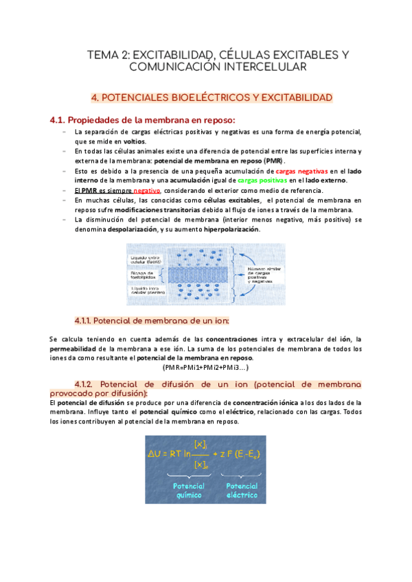 Miniatura del documento TEMA-2-EXCITABILIDAD-CELULAS-EXCITABLES-Y-COMUNICACION-INTERCELULAR.pdf