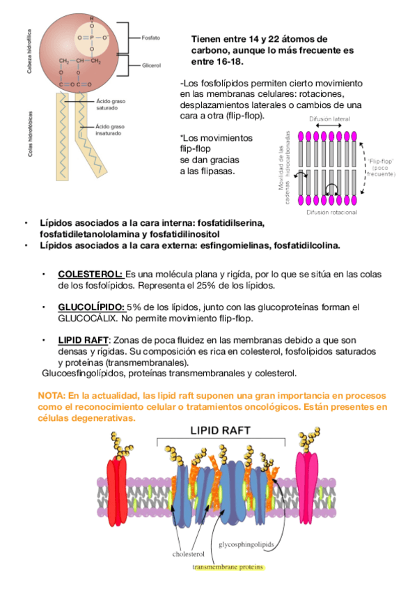Miniatura del documento Tema-5.pdf