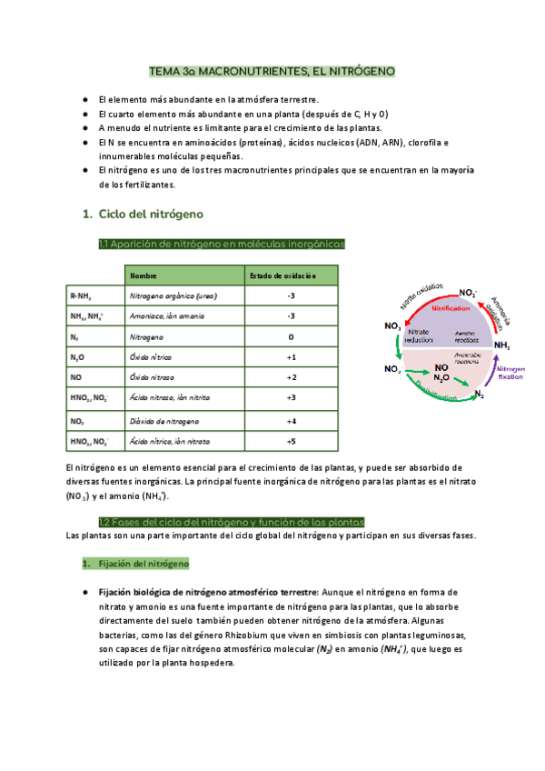 Miniatura del documento TEMA-3-MACRONUTRIENTES-N.pdf