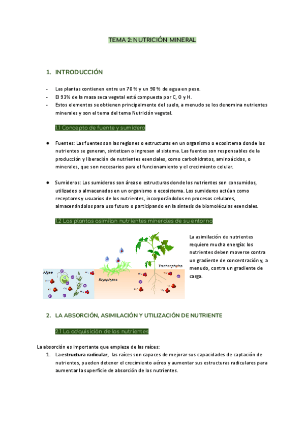 Miniatura del documento TEMA-2-NUTRICION-MINERAL.pdf