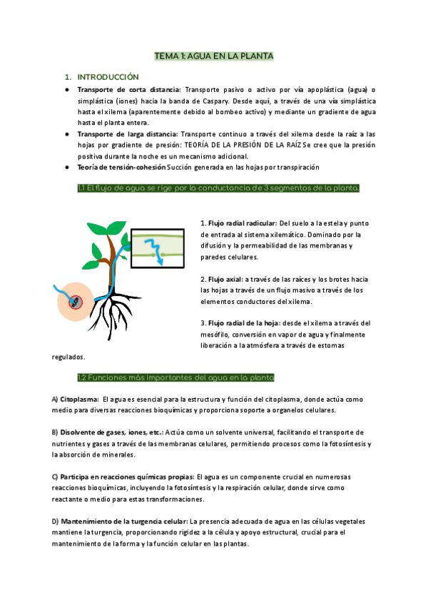 Miniatura del documento TEMA-1-TRANSPIRACION-Y-TRANSPORTE-DE-AGUA-Y-ELEMENTOS-MINERALES.pdf