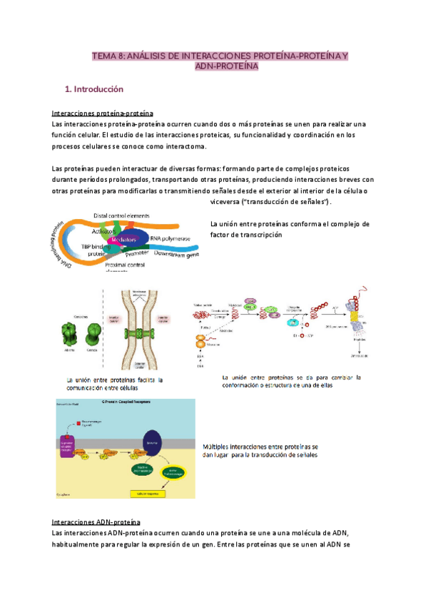 Miniatura del documento TEMA-8-ANALISIS-DE-INTERACCIONES-PROTEINA-PROTEINA-Y-ADN-PROTEINA.pdf