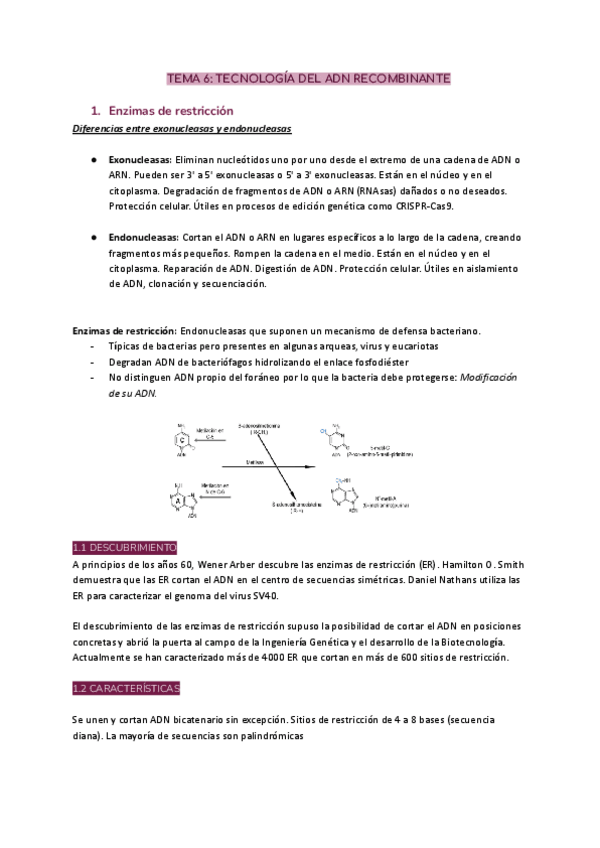 Miniatura del documento TEMA-6-TECNOLOGIA-DEL-ADN-RECOMBINANTE.pdf