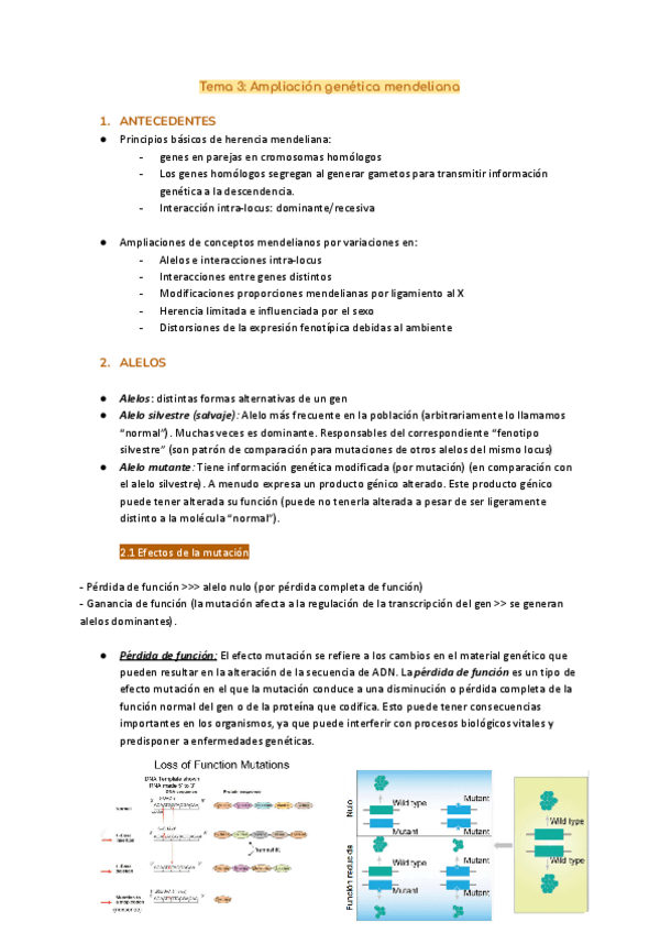 Miniatura del documento Tema-3-Ampliacion-genetica-mendeliana.pdf