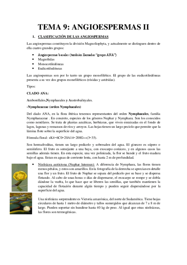 Miniatura del documento Tema-9-Resumen-Angiospermas-II.pdf