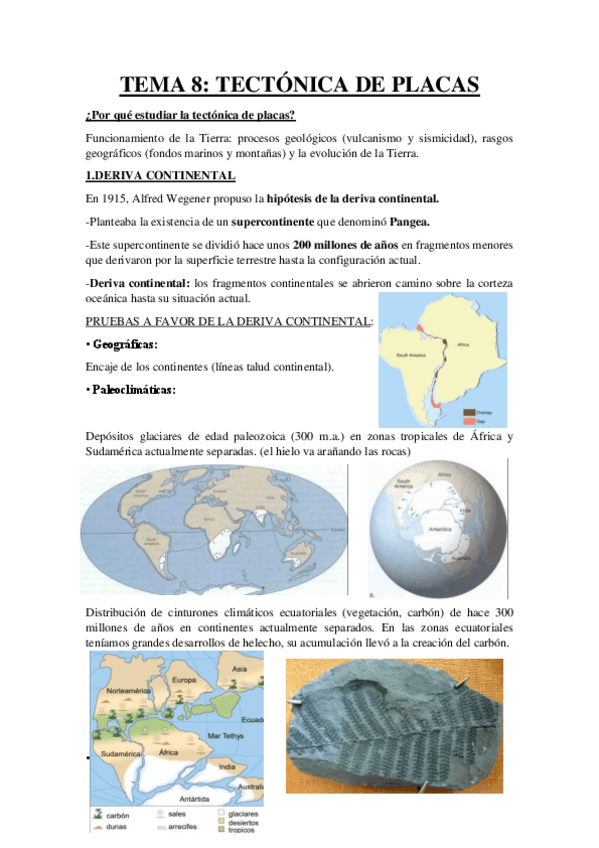 Miniatura del documento TEMA-8-Resumen-Tectonica-de-Placas.pdf