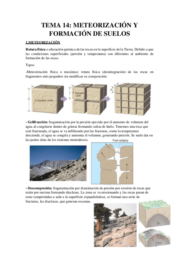 Miniatura del documento Tema-14-Resumen-Meteorizacion-y-formacion-de-suelo.pdf