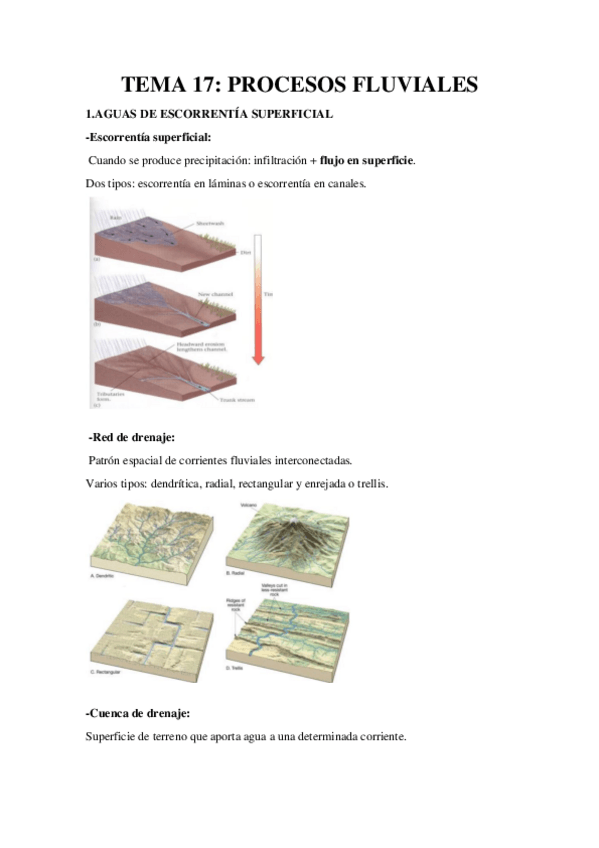 Miniatura del documento TEMA-17-Resumen-Procesos-Fluviales.pdf
