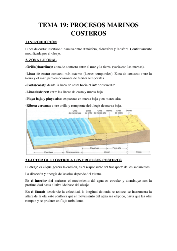 Miniatura del documento TEMA-19-RESUMEN-Procesos-Marinos-Costeros.pdf