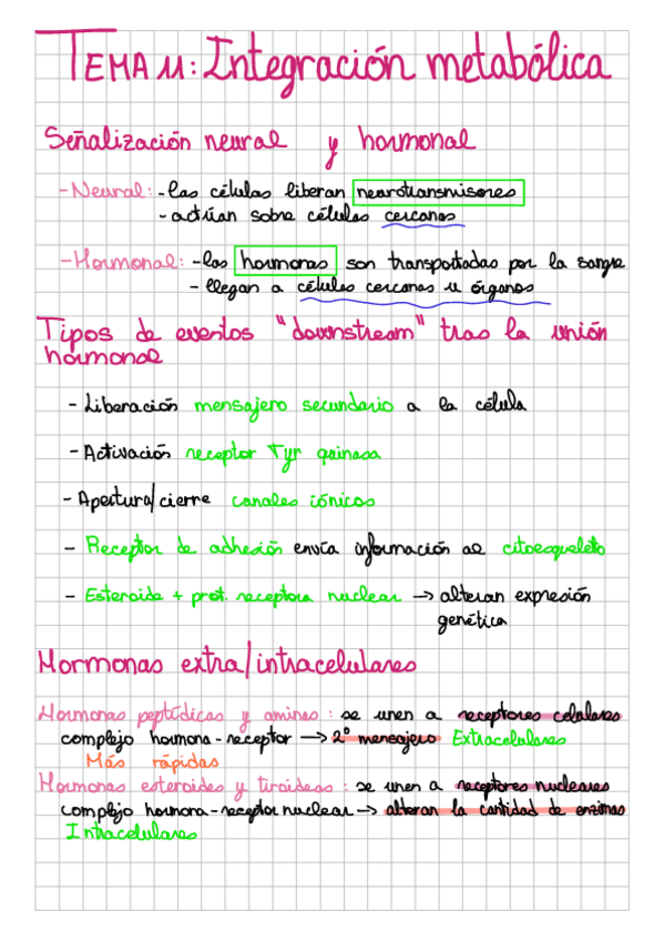 Miniatura del documento t11: integración metabólica.pdf