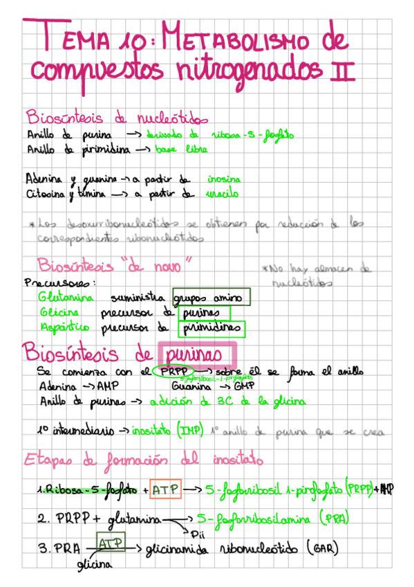 Miniatura del documento t10: metabolismo de compuestos nitrogenados II.pdf