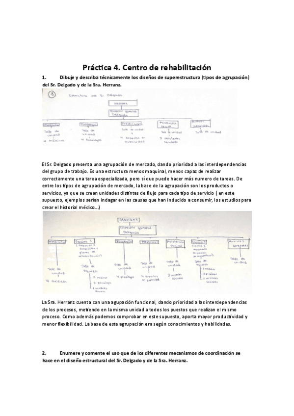 Miniatura del documento Practica-4-de-diseno-organizativo.pdf