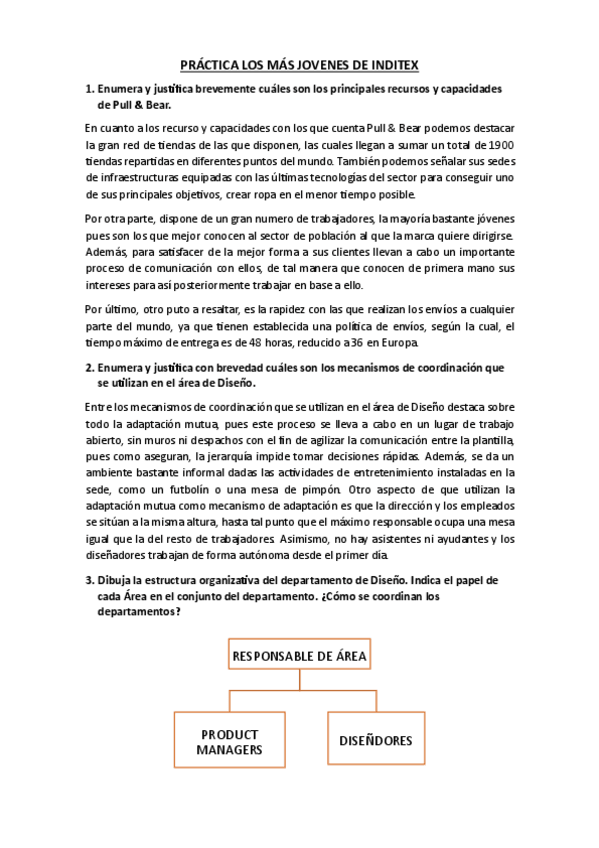 Miniatura del documento PRACTICA-LOS-MAS-JOVENES-DE-INDITEX.-Diseno-ORG.pdf