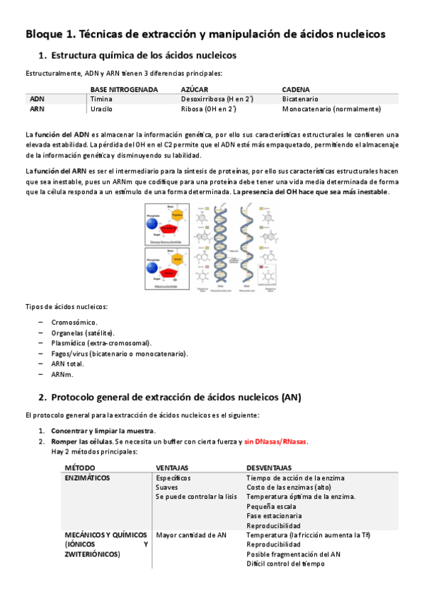 Miniatura del documento BEII Temario completo (SB).pdf