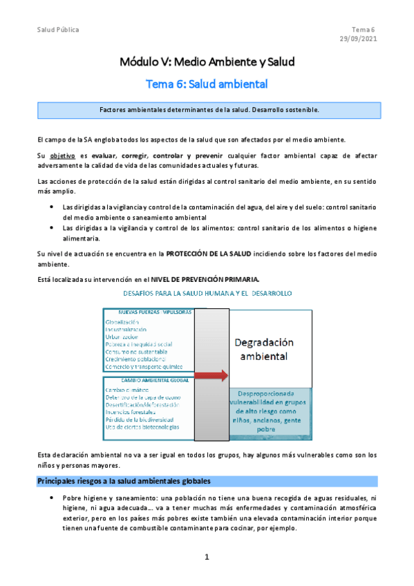 Miniatura del documento Tema-6.-COMPLETO.pdf