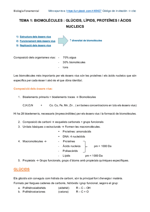 Miniatura del documento Biomolècules.pdf