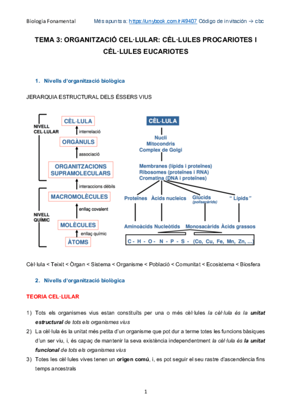Miniatura del documento Organització cel·lular.pdf
