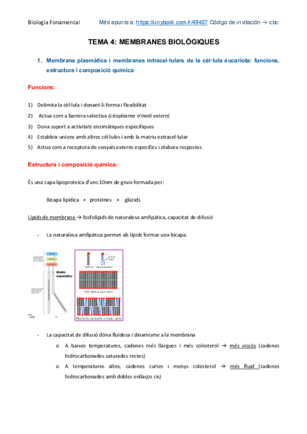 Miniatura del documento Membranes biològiques.pdf