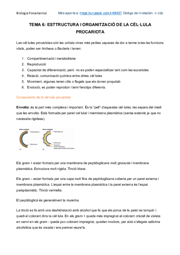 Miniatura del documento Estructura i organització procariota.pdf