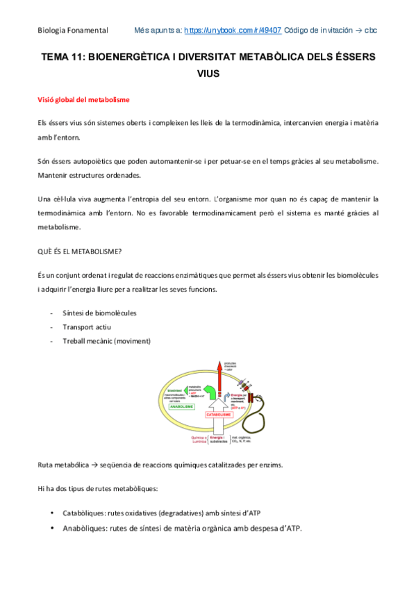 Miniatura del documento Bioenergètica i diveristat metabòlica dels éssers vius.pdf