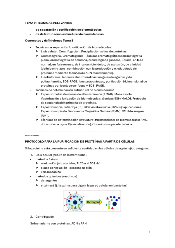 Miniatura del documento TEMA-9-TECNICAS-RELEVANTES.pdf