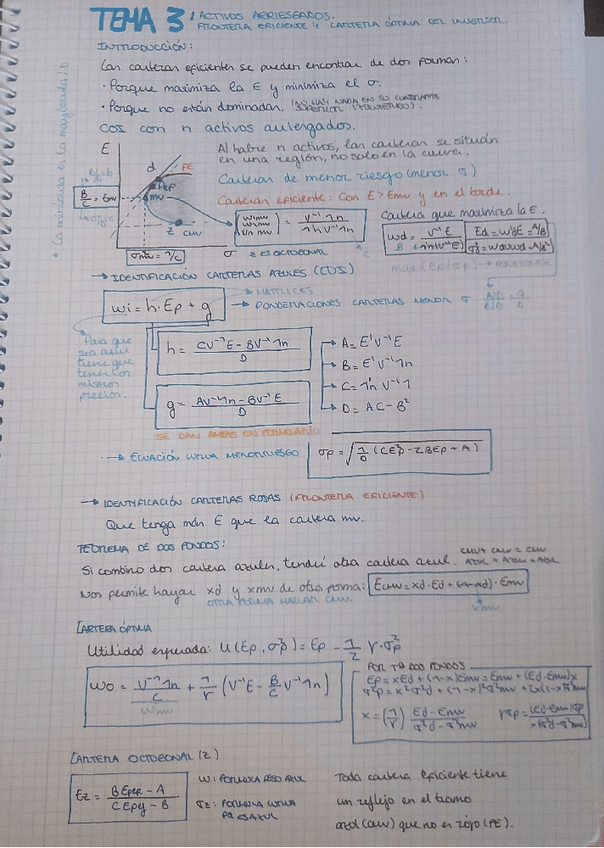 Miniatura del documento TEMA-3.pdf