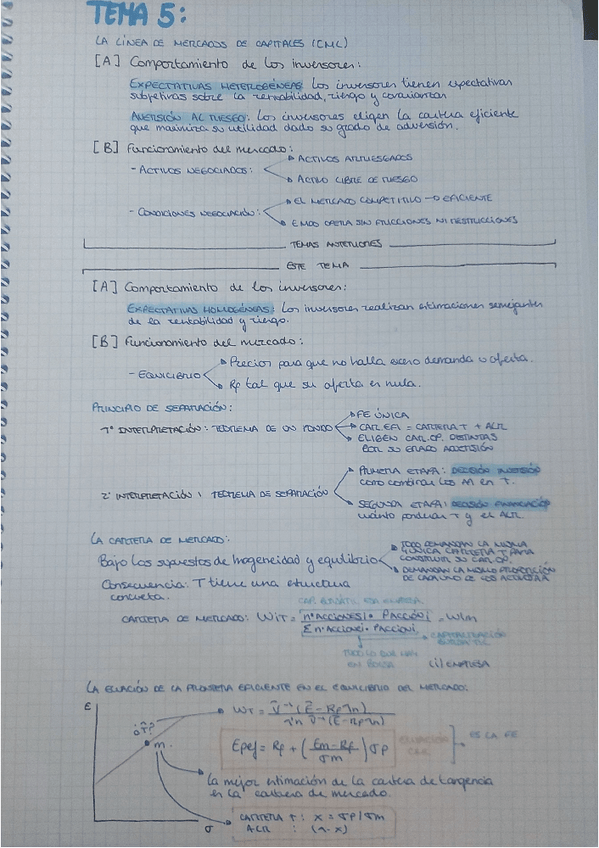 Miniatura del documento TEMA-5.pdf