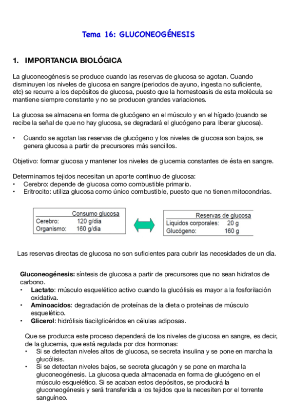 Miniatura del documento Tema-16.pdf
