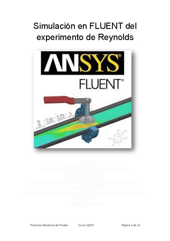Miniatura del documento FLUENT.pdf