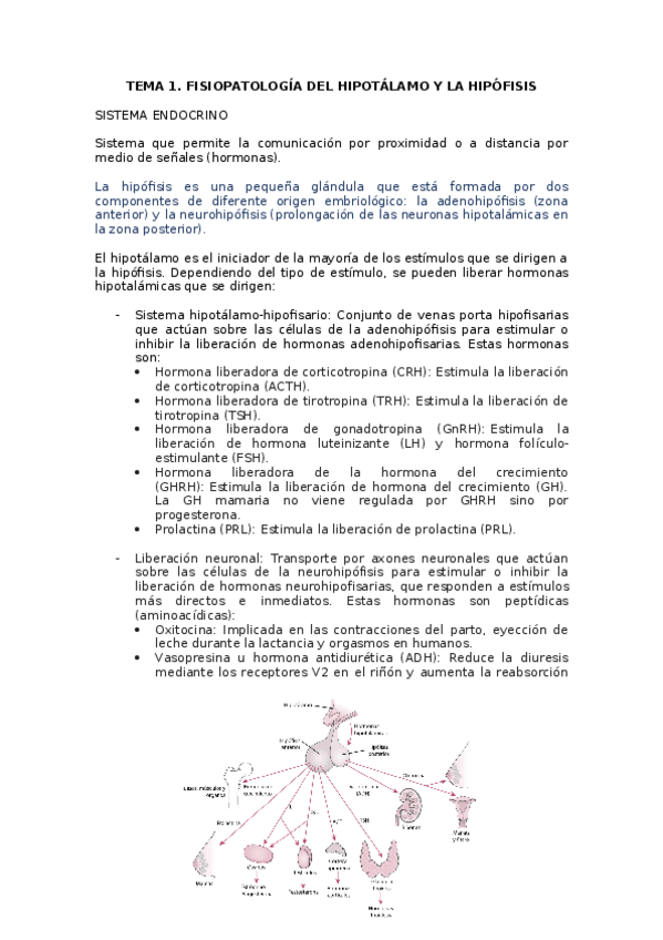 Miniatura del documento tema-1-pato.docx