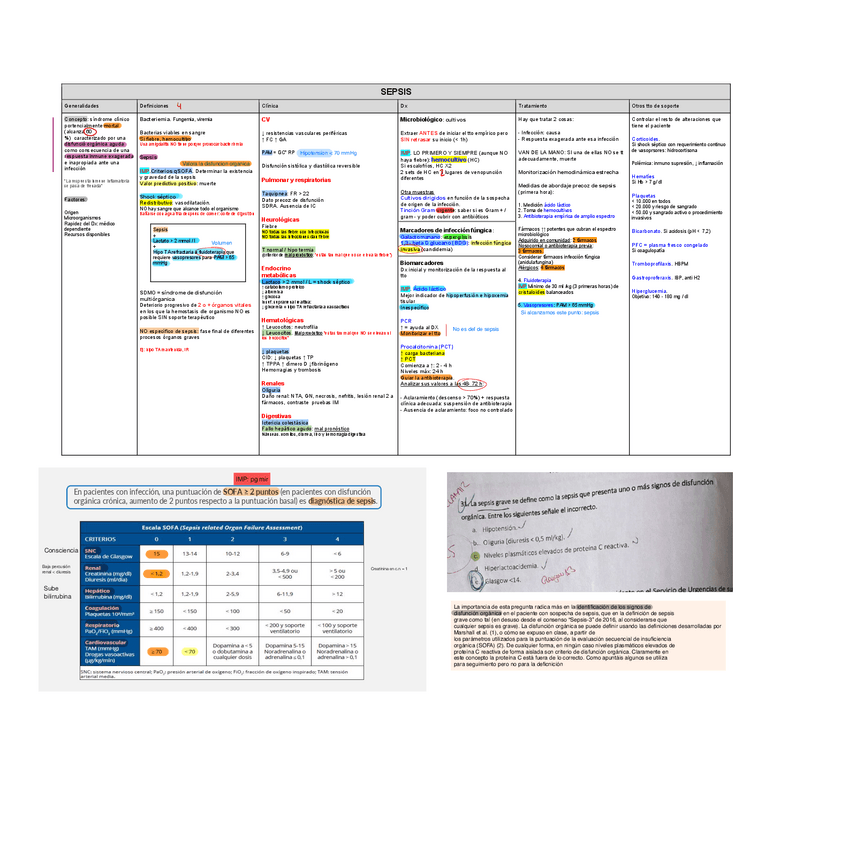 Miniatura del documento 2.-Sepsis.pdf