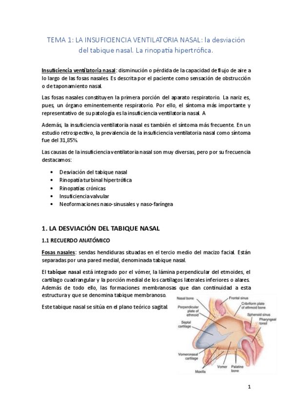 Miniatura del documento OTORRINO-LIBRO-EN-APUNTES-BIEN-ESTRUCTURADO.pdf