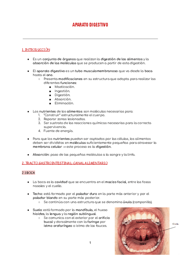 Miniatura del documento aparato-digestivo.pdf