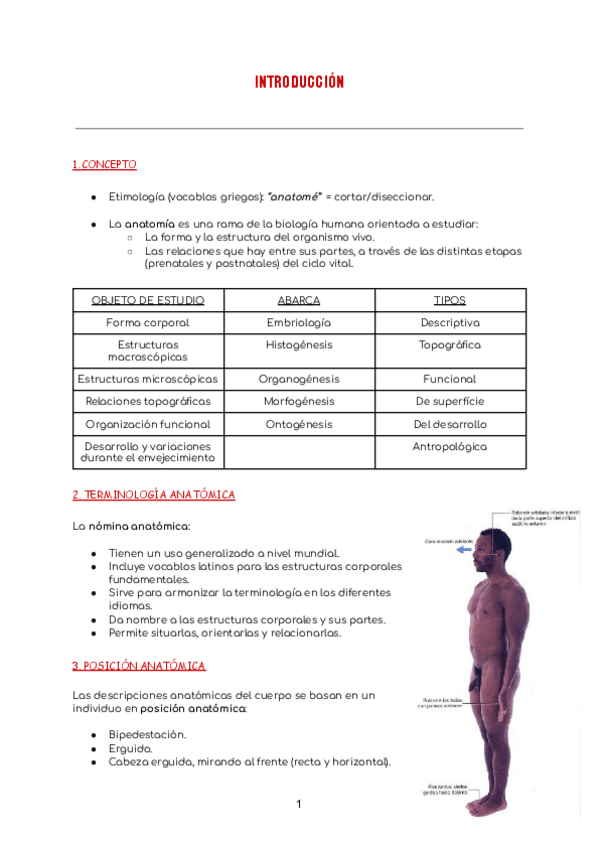 Miniatura del documento introduccion.pdf