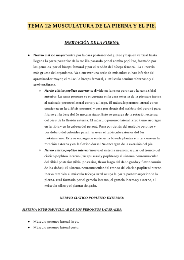 Miniatura del documento ANATOMIA-TEMA-12.pdf