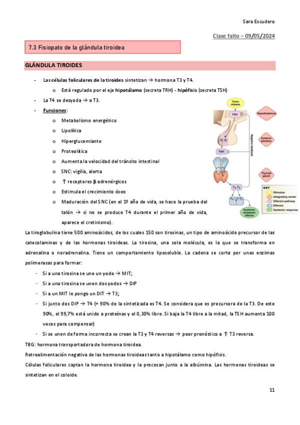 Miniatura del documento 7.3.pdf