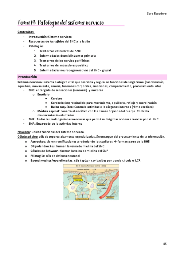 Miniatura del documento TEMA-14-sn.pdf