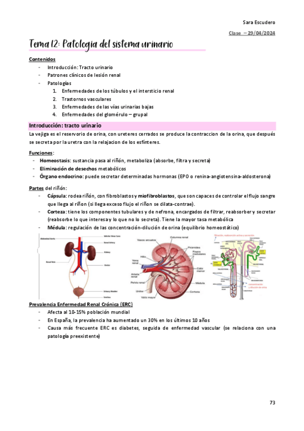 Miniatura del documento TEMA-12-urinario.pdf