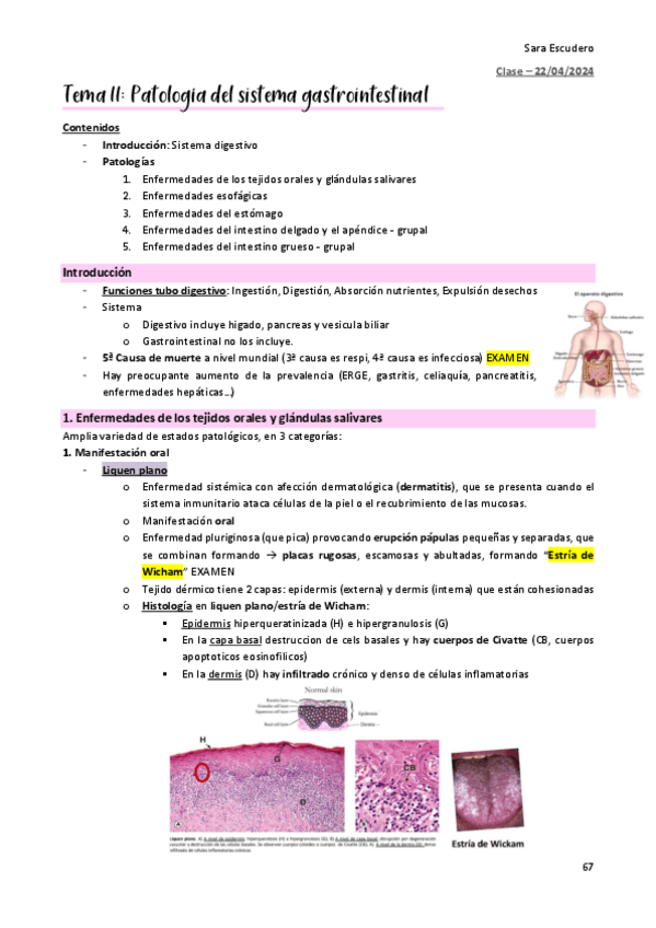 Miniatura del documento TEMA-11-gastrointestinal.pdf